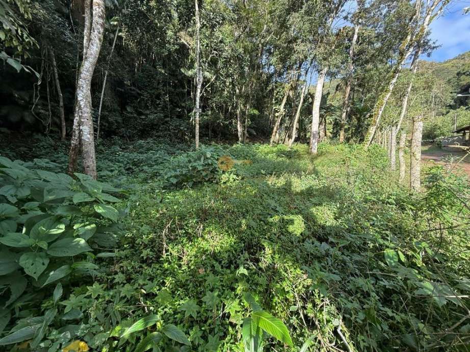 Terreno Residencial à venda em Albuquerque, Teresópolis - RJ - Foto 5