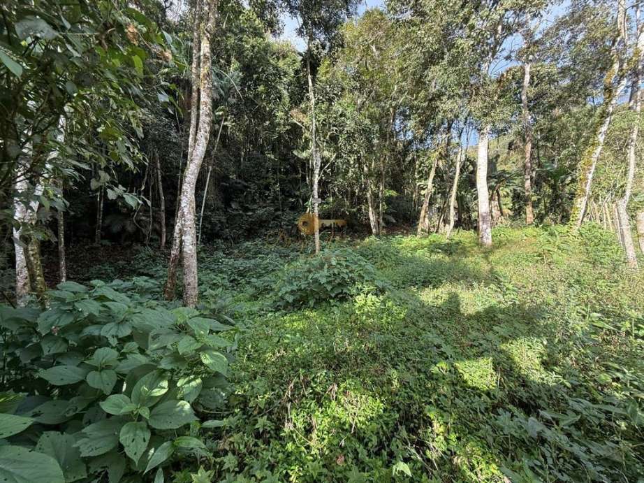 Terreno Residencial à venda em Albuquerque, Teresópolis - RJ - Foto 2