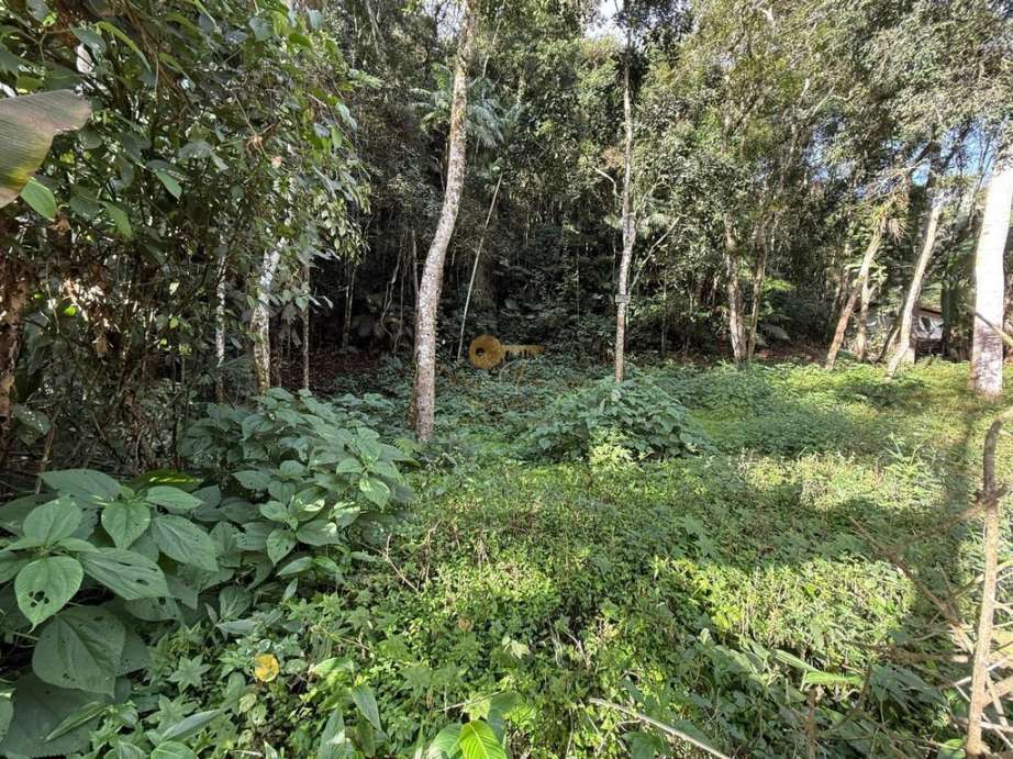 Terreno Residencial à venda em Albuquerque, Teresópolis - RJ - Foto 15