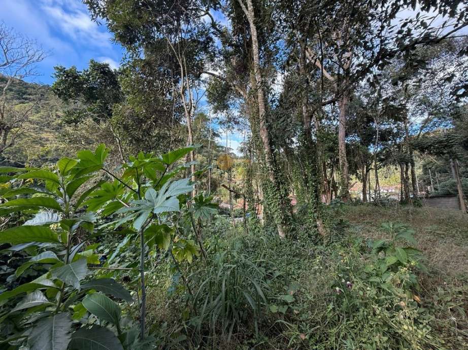 Terreno Residencial à venda em Albuquerque, Teresópolis - RJ - Foto 3