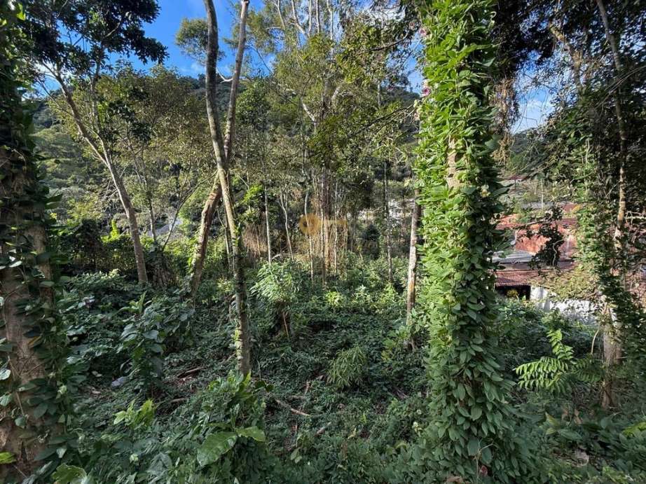 Terreno Residencial à venda em Albuquerque, Teresópolis - RJ - Foto 2