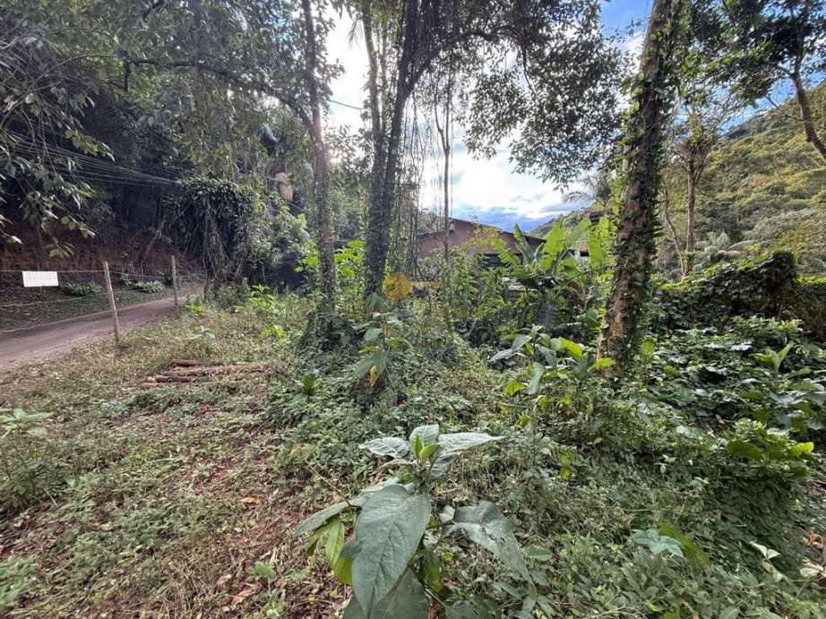 Terreno Residencial à venda em Albuquerque, Teresópolis - RJ - Foto 6