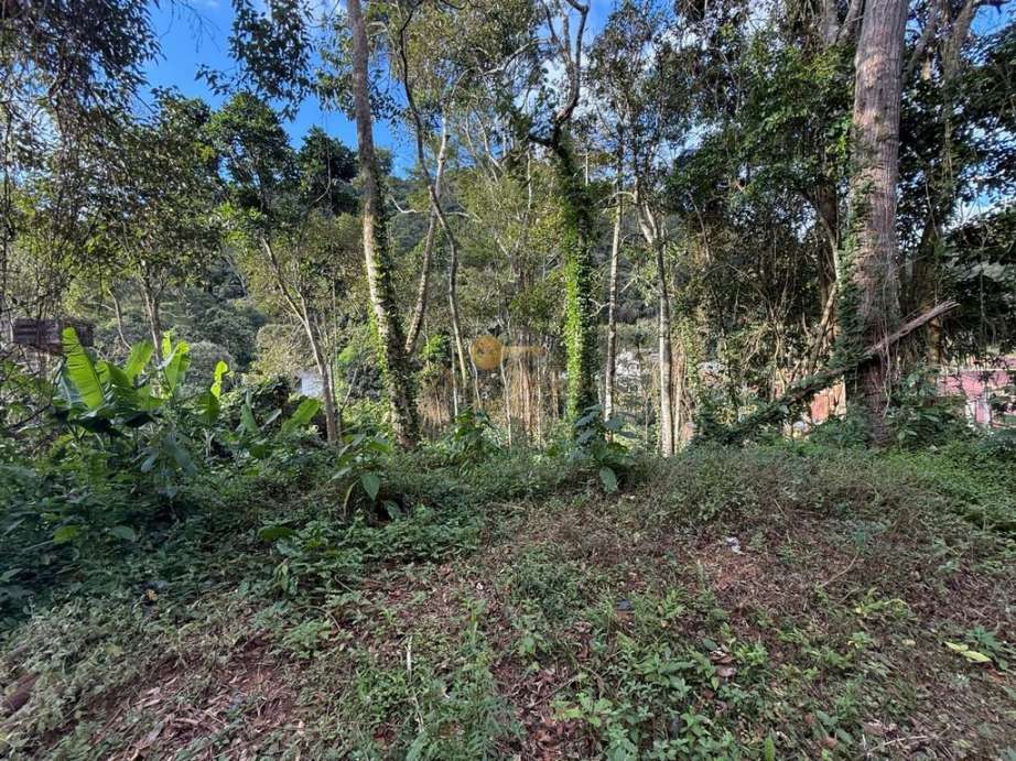 Terreno Residencial à venda em Albuquerque, Teresópolis - RJ - Foto 8