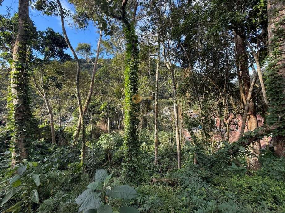 Terreno Residencial à venda em Albuquerque, Teresópolis - RJ - Foto 10