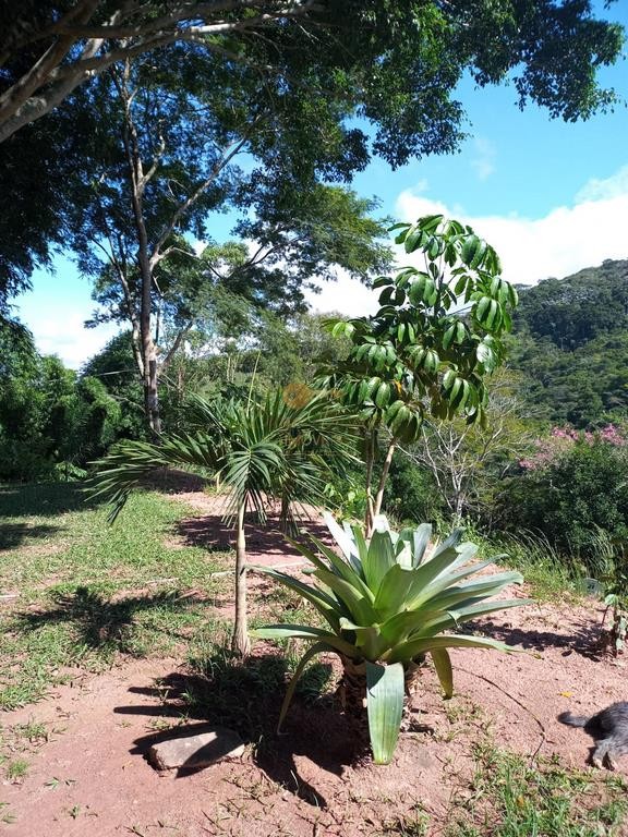 Terreno Residencial à venda em Posse, Petrópolis - RJ - Foto 18
