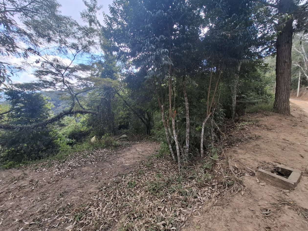 Terreno Residencial à venda em Fazenda Suiça, Teresópolis - RJ - Foto 2
