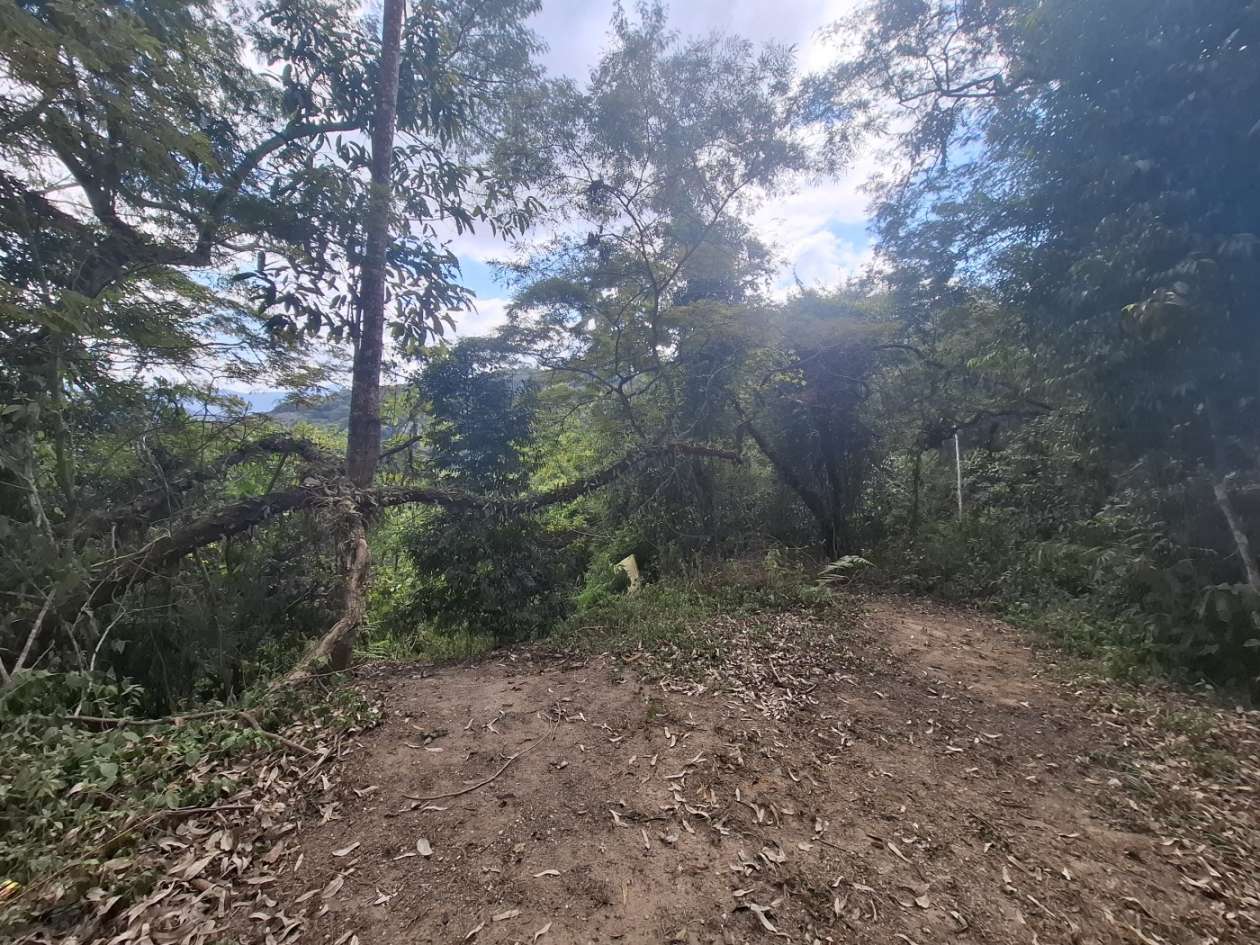 Terreno Residencial à venda em Fazenda Suiça, Teresópolis - RJ - Foto 3
