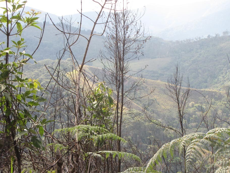 Terreno Residencial à venda em Fazenda Suiça, Teresópolis - RJ - Foto 5