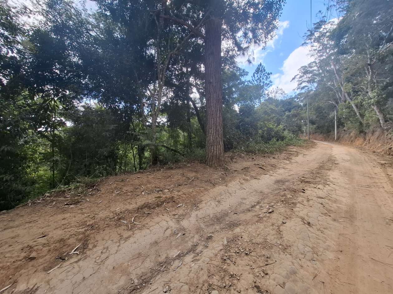 Terreno Residencial à venda em Fazenda Suiça, Teresópolis - RJ - Foto 4