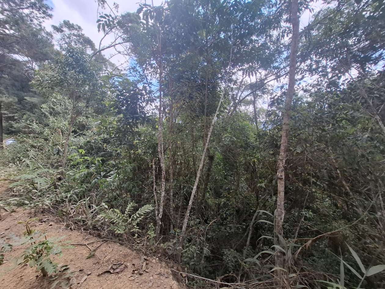 Terreno Residencial à venda em Fazenda Suiça, Teresópolis - RJ - Foto 6