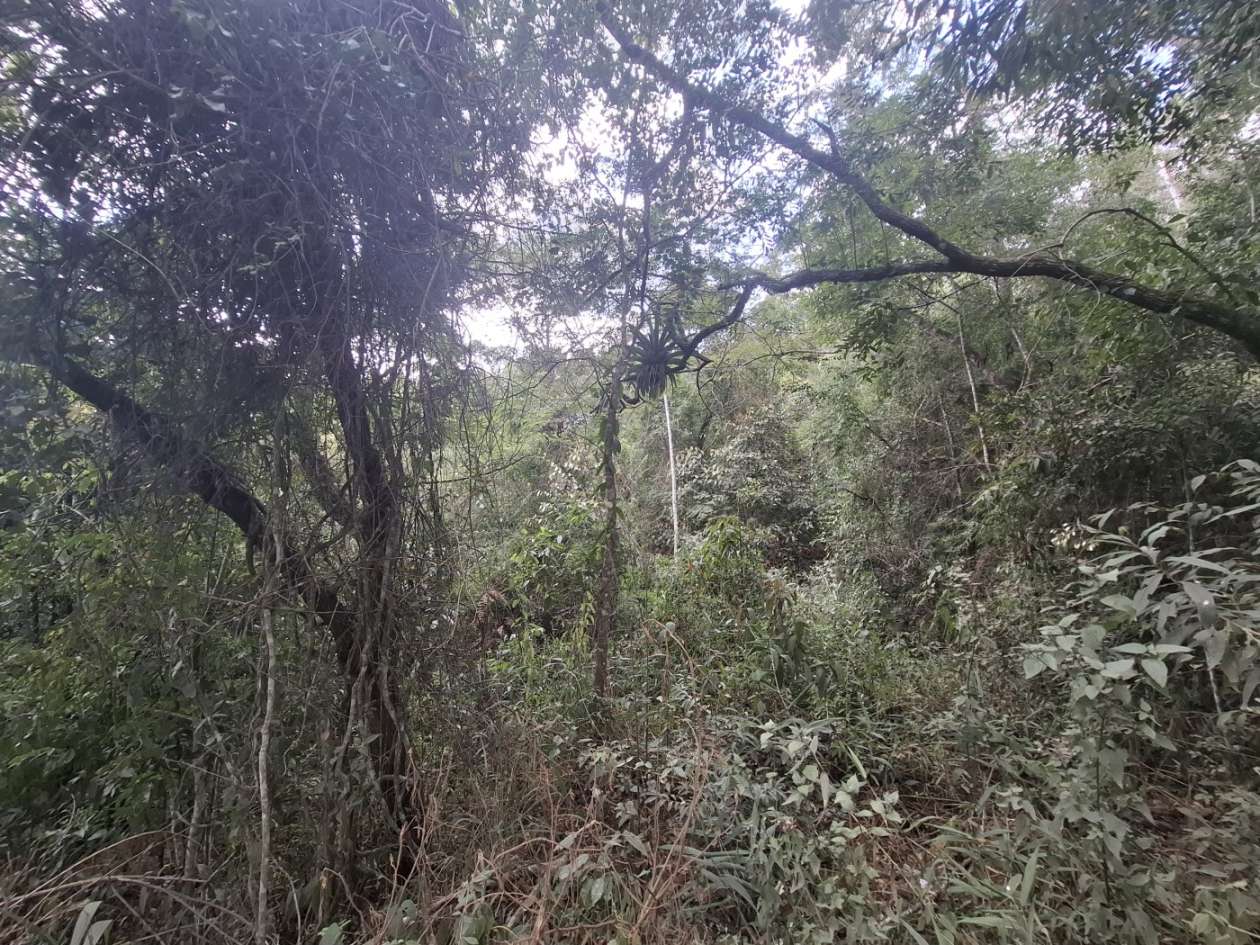 Terreno Residencial à venda em Fazenda Suiça, Teresópolis - RJ - Foto 12