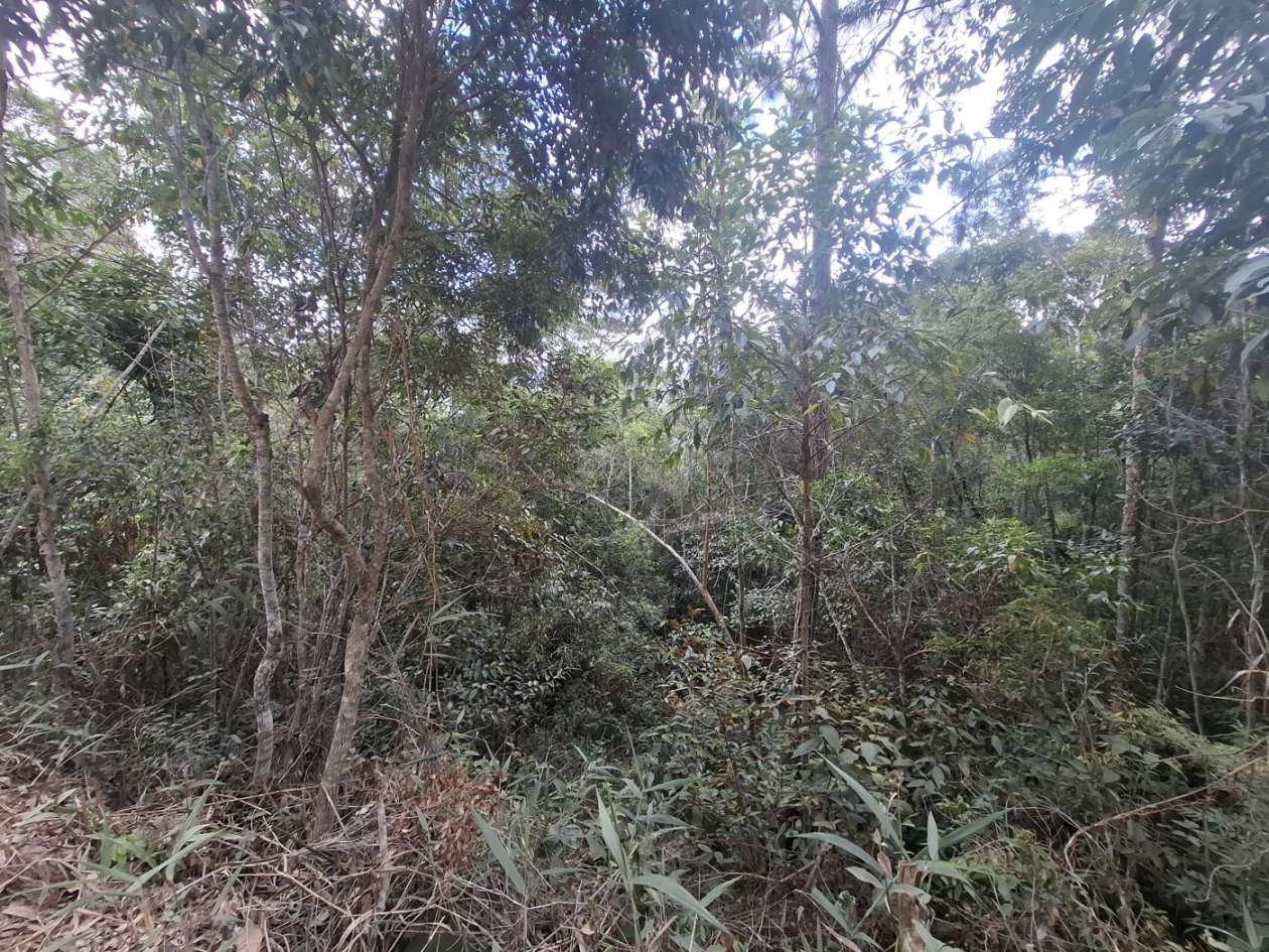 Terreno Residencial à venda em Fazenda Suiça, Teresópolis - RJ - Foto 15