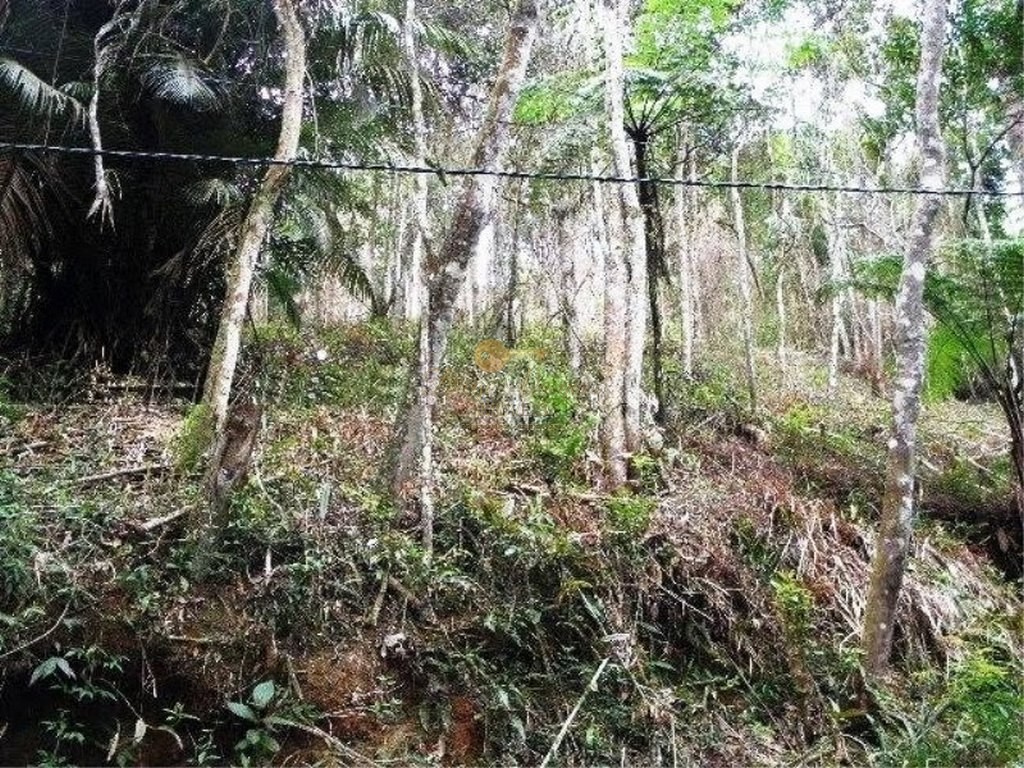 Terreno Residencial à venda em Albuquerque, Teresópolis - RJ - Foto 6