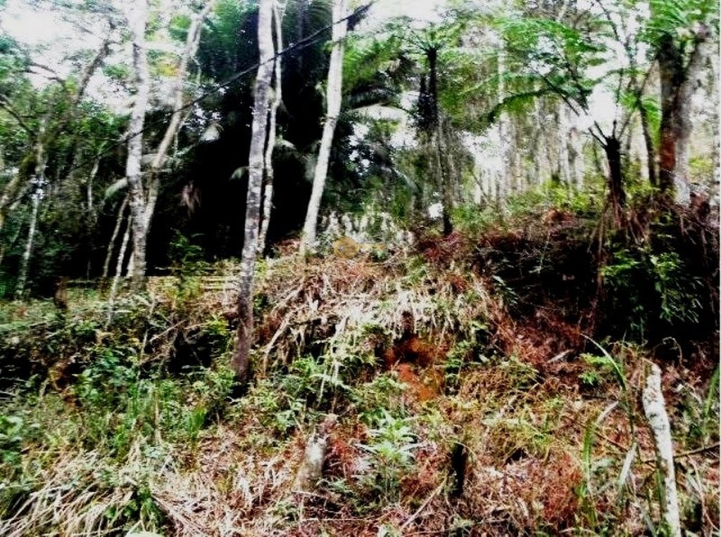 Terreno Residencial à venda em Albuquerque, Teresópolis - RJ - Foto 7