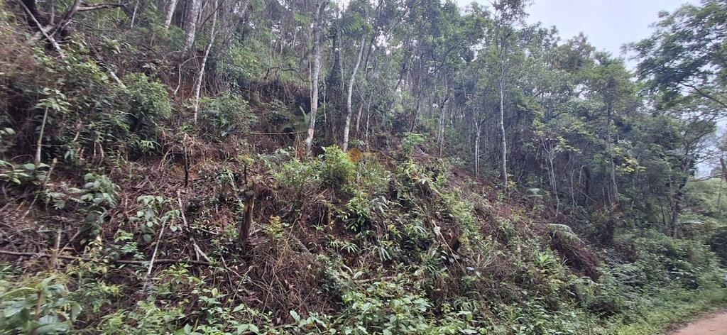 Terreno Residencial à venda em Albuquerque, Teresópolis - RJ - Foto 8