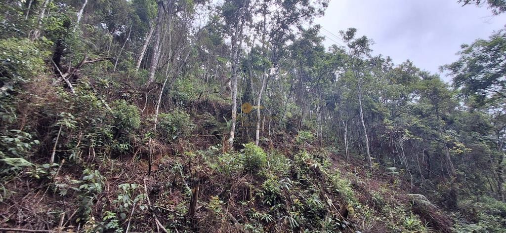 Terreno Residencial à venda em Albuquerque, Teresópolis - RJ - Foto 10