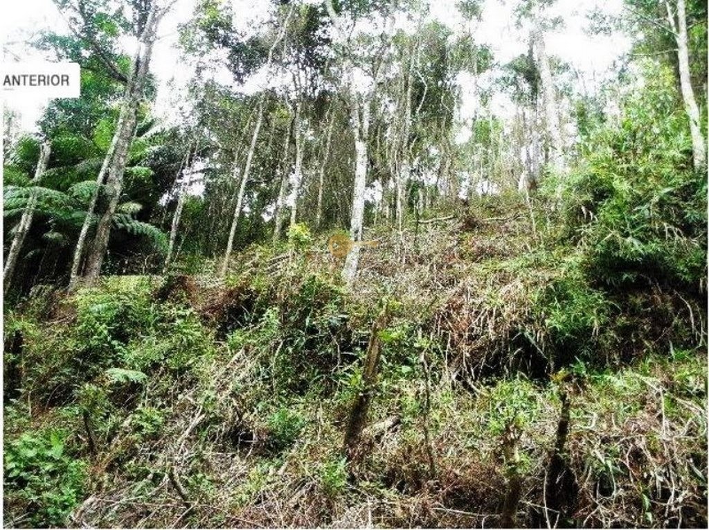 Terreno Residencial à venda em Albuquerque, Teresópolis - RJ - Foto 9