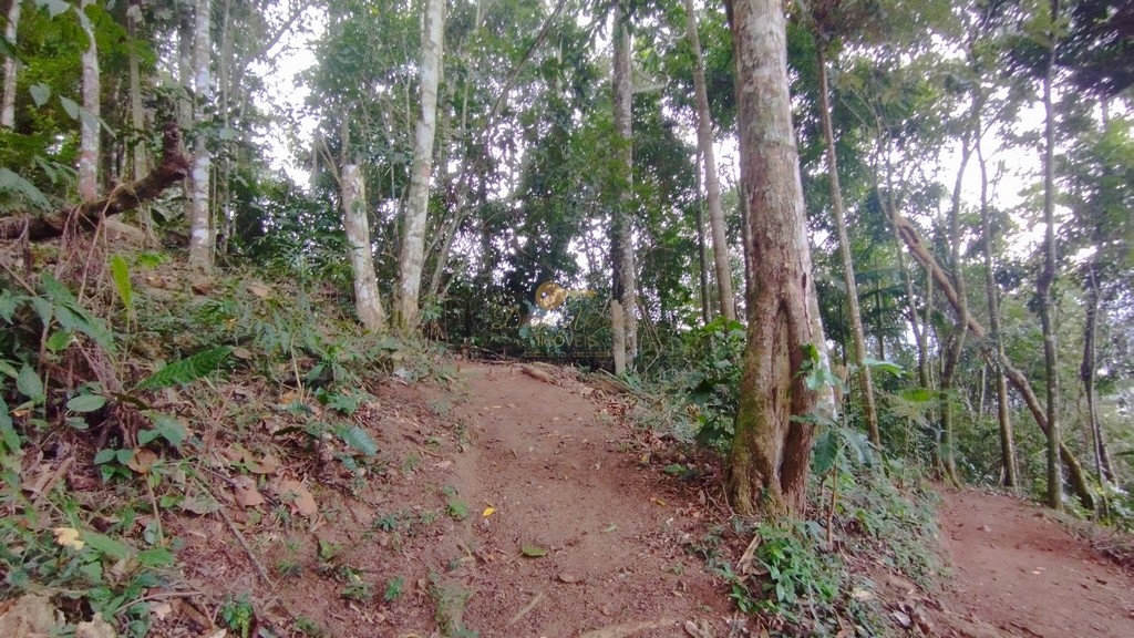 Terreno Residencial à venda em Parque do Ingá, Teresópolis - RJ - Foto 5