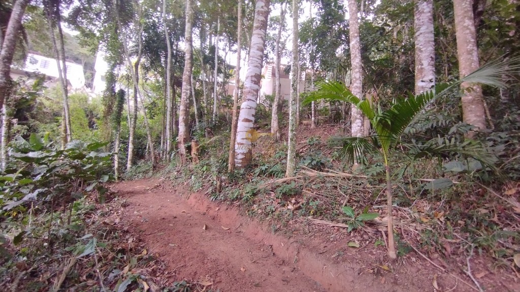 Terreno Residencial à venda em Parque do Ingá, Teresópolis - RJ - Foto 7
