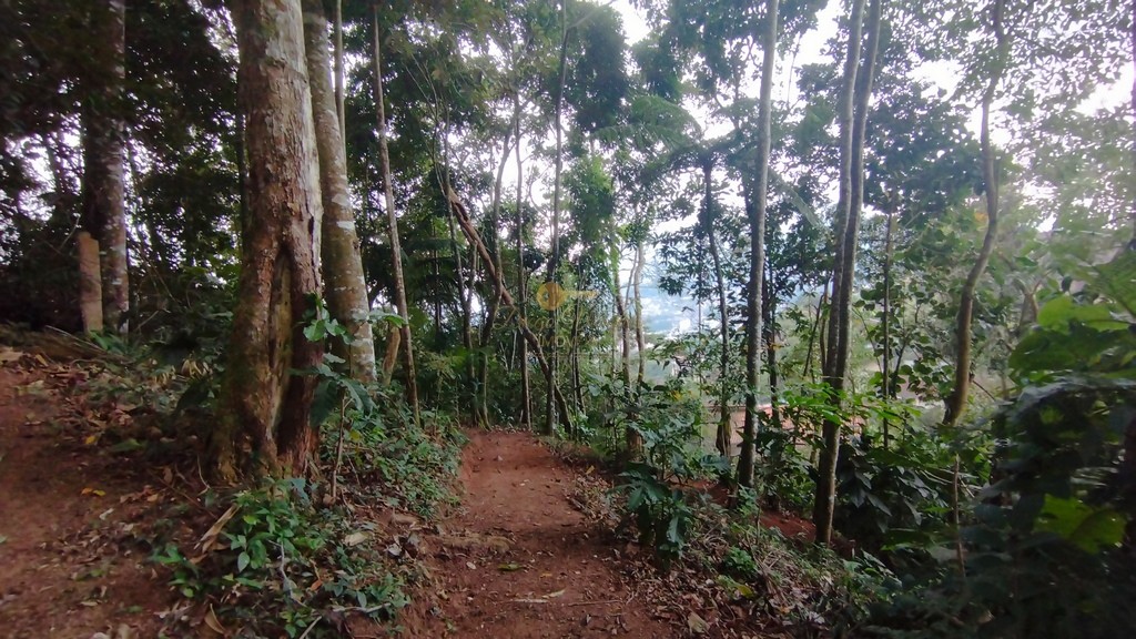 Terreno Residencial à venda em Parque do Ingá, Teresópolis - RJ - Foto 6
