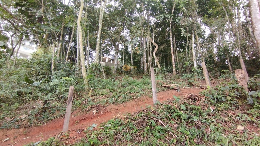 Terreno Residencial à venda em Parque do Ingá, Teresópolis - RJ - Foto 3