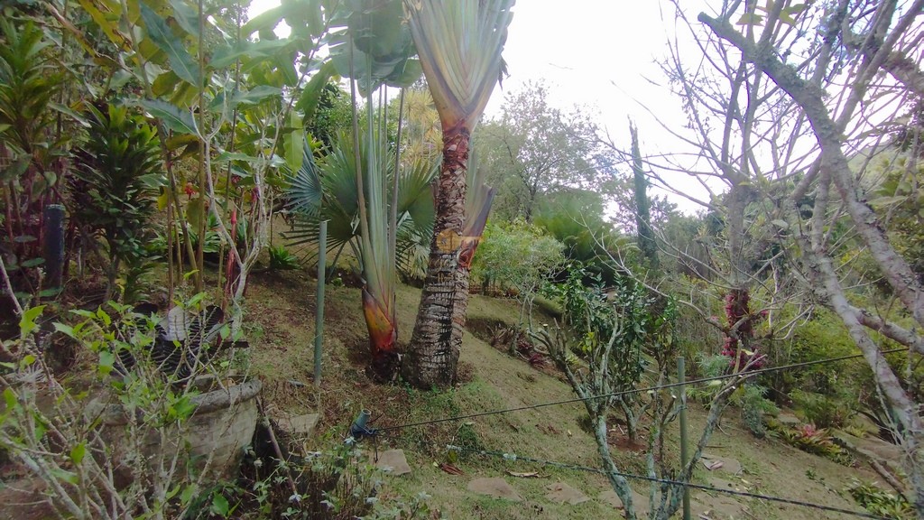 Casa à venda em Albuquerque, Teresópolis - RJ - Foto 49