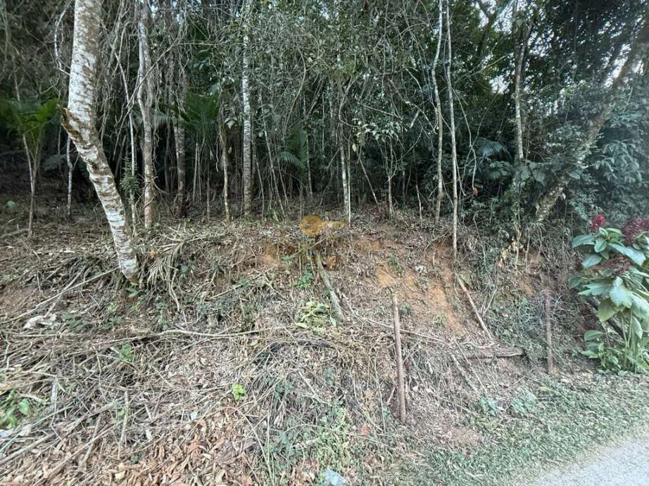 Terreno Residencial à venda em Albuquerque, Teresópolis - RJ - Foto 4