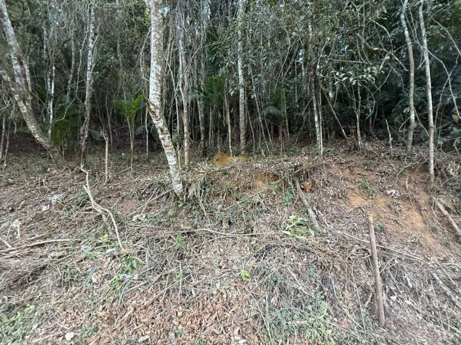 Terreno Residencial à venda em Albuquerque, Teresópolis - RJ - Foto 6
