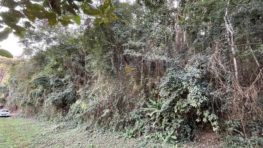 Terreno Residencial à venda em Vale Feliz, Teresópolis - RJ - Foto 4