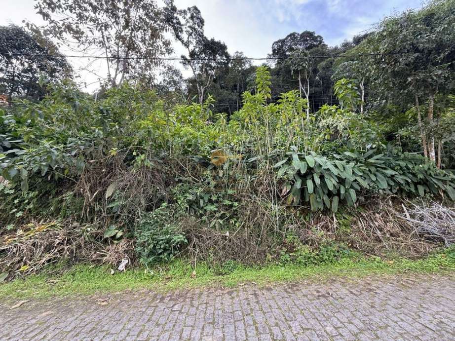 Terreno Residencial à venda em Albuquerque, Teresópolis - RJ - Foto 3