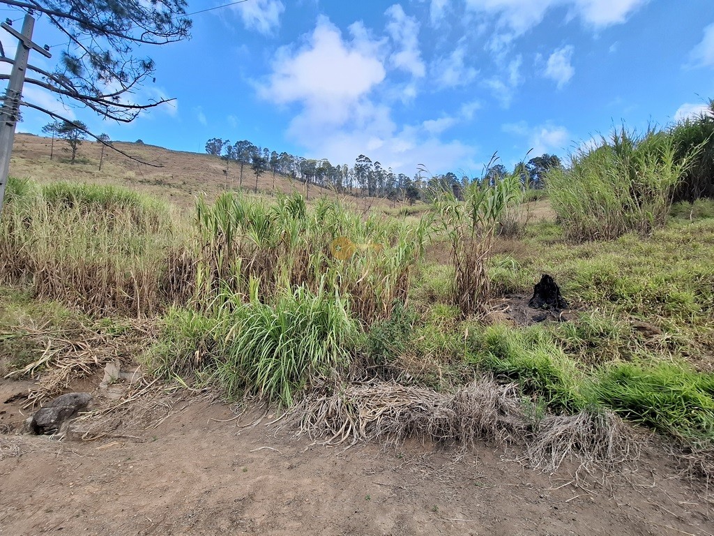 Terreno Residencial à venda em Fazenda Suiça, Teresópolis - RJ - Foto 2