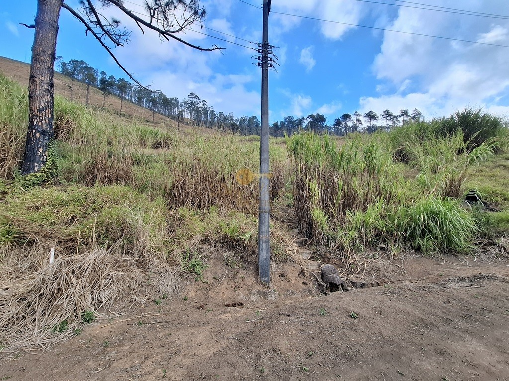 Terreno Residencial à venda em Fazenda Suiça, Teresópolis - RJ - Foto 3