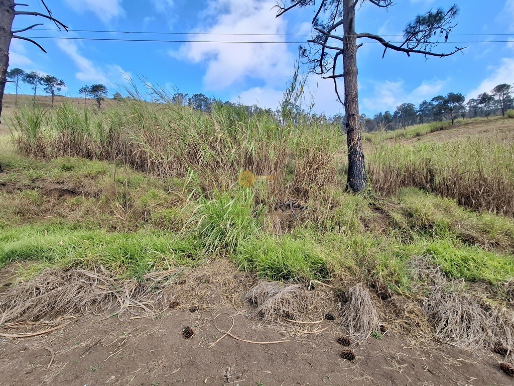 Terreno Residencial à venda em Fazenda Suiça, Teresópolis - RJ - Foto 6