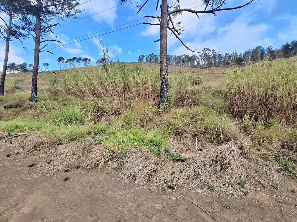 Terreno Residencial à venda em Fazenda Suiça, Teresópolis - RJ - Foto 5