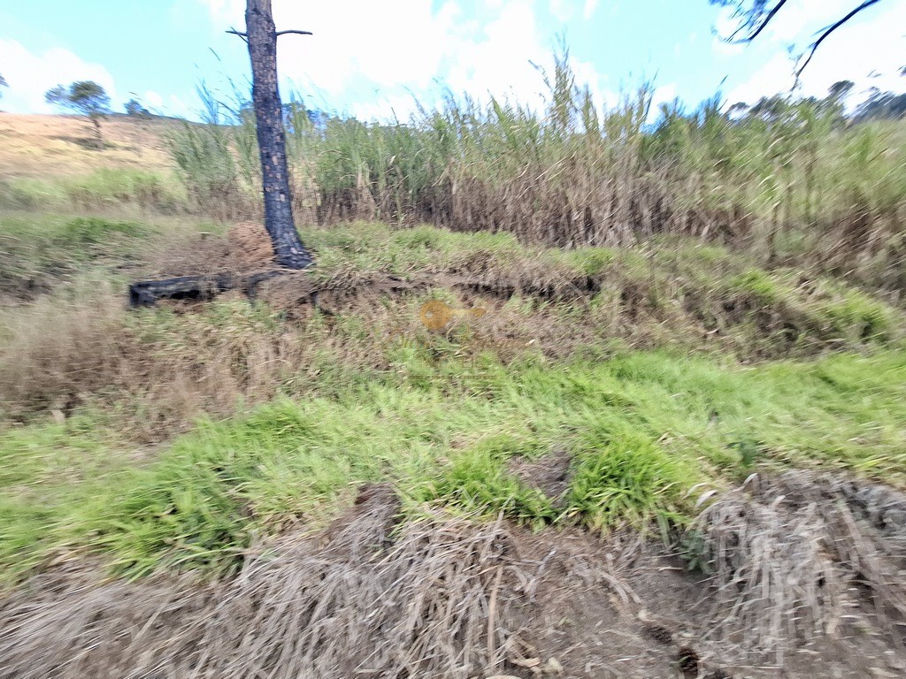 Terreno Residencial à venda em Fazenda Suiça, Teresópolis - RJ - Foto 9
