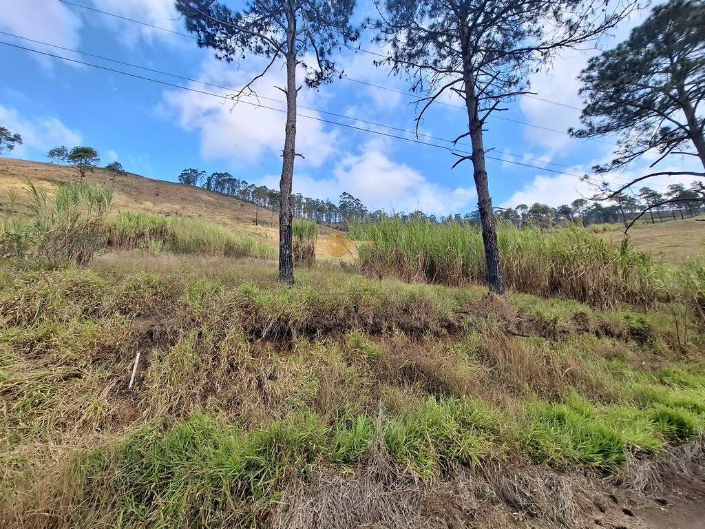 Terreno Residencial à venda em Fazenda Suiça, Teresópolis - RJ - Foto 8