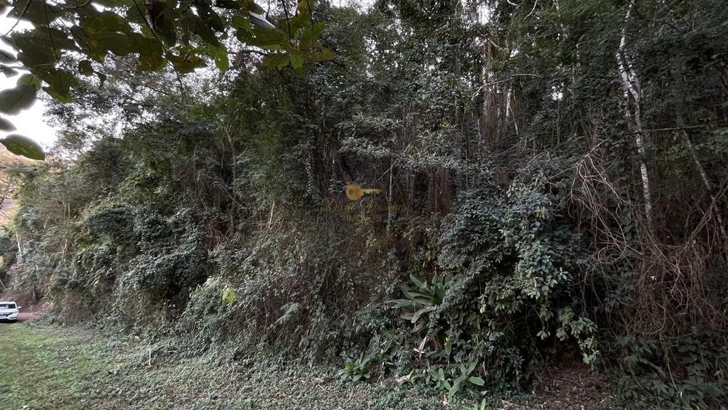 Terreno Residencial à venda em Vale Feliz, Teresópolis - RJ - Foto 3