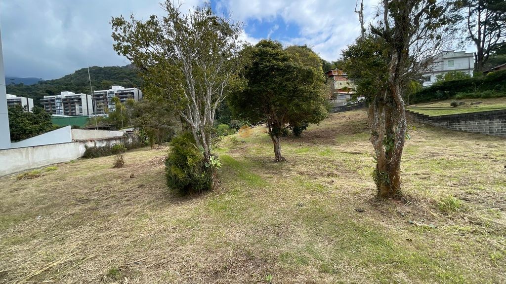 Terreno Residencial à venda em Alto, Teresópolis - RJ - Foto 8