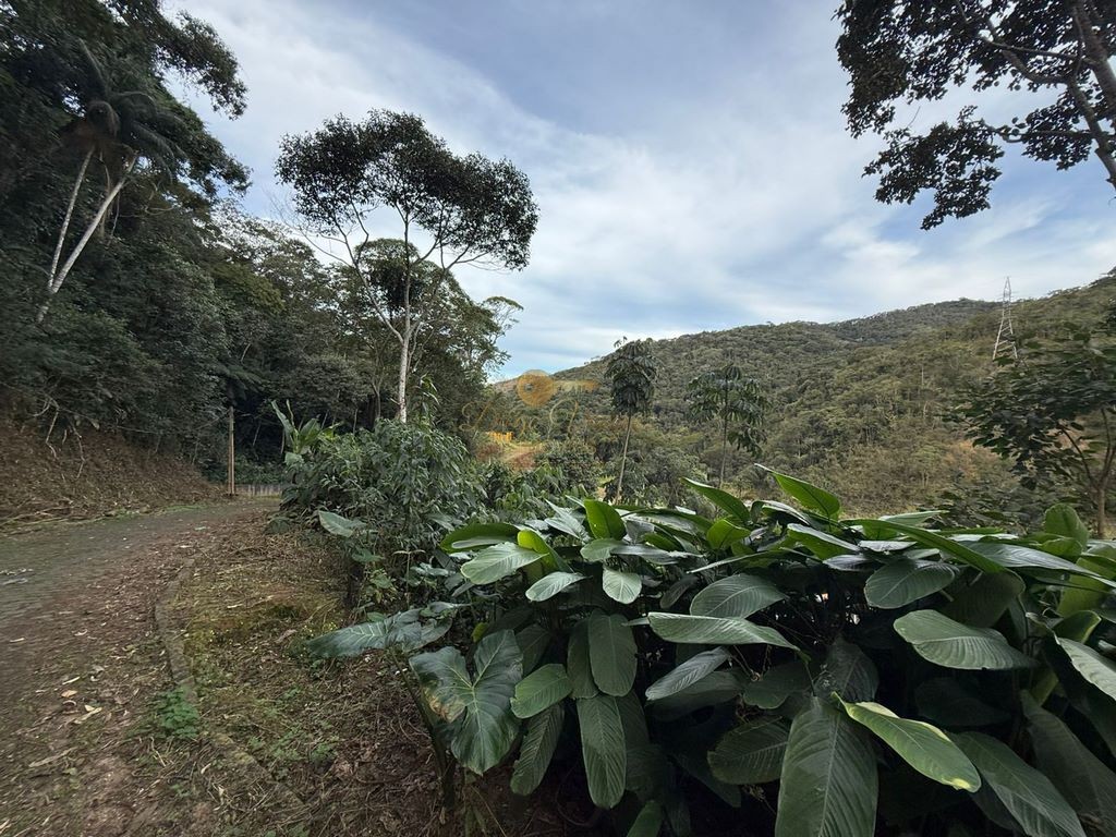 Terreno Residencial à venda em Albuquerque, Teresópolis - RJ - Foto 15