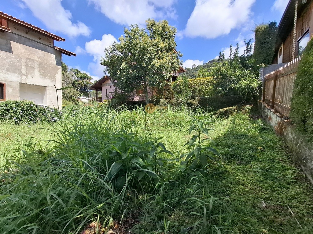 Terreno Residencial à venda em Vargem Grande, Teresópolis - RJ - Foto 8