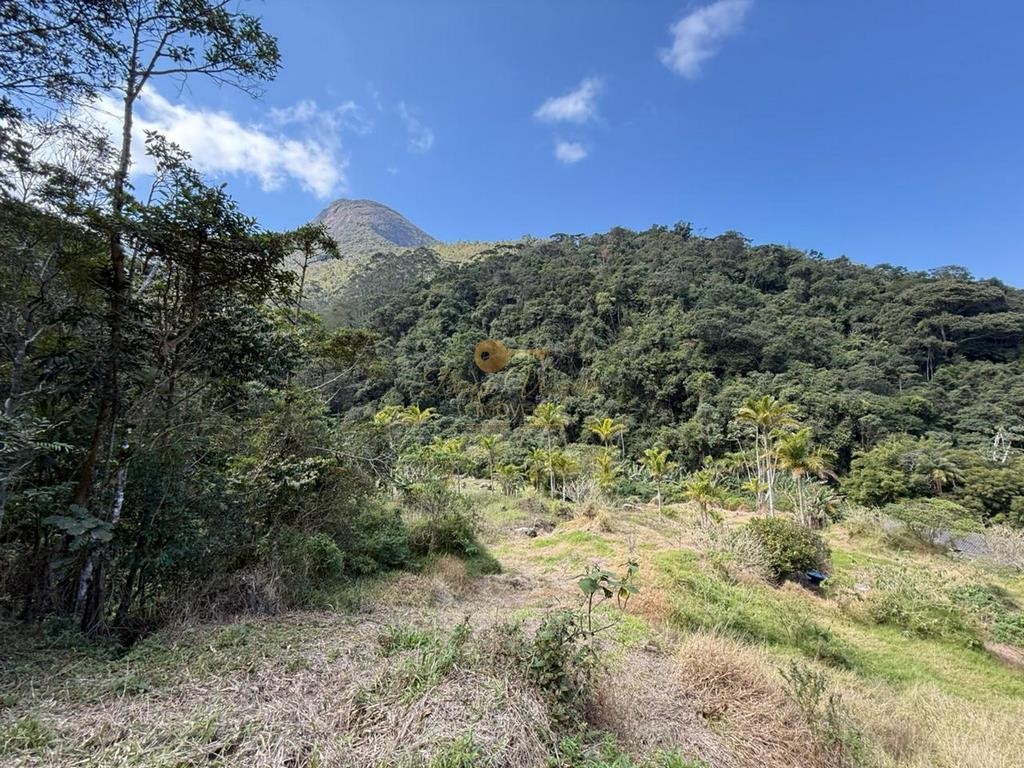 Terreno Residencial à venda em Vargem Grande, Teresópolis - RJ - Foto 3