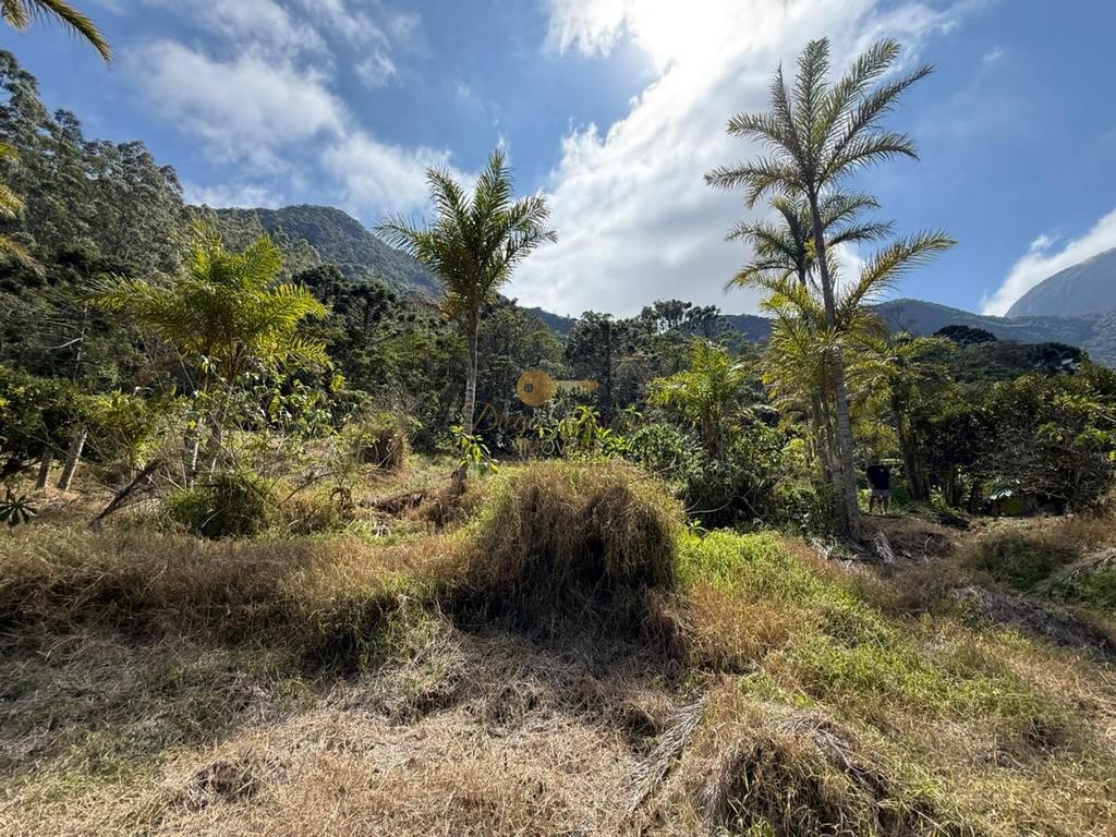 Terreno Residencial à venda em Vargem Grande, Teresópolis - RJ - Foto 7