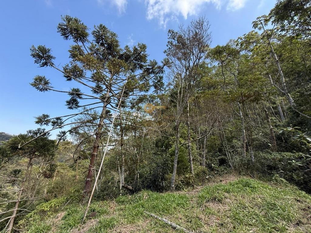 Terreno Residencial à venda em Vargem Grande, Teresópolis - RJ - Foto 9