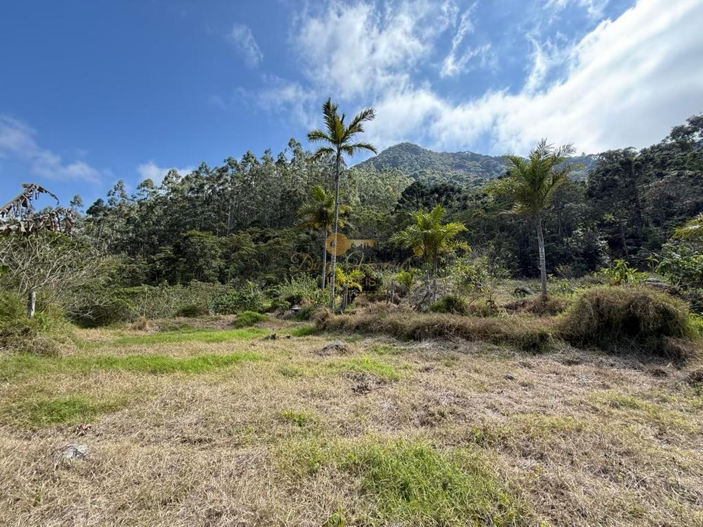 Terreno Residencial à venda em Vargem Grande, Teresópolis - RJ - Foto 14