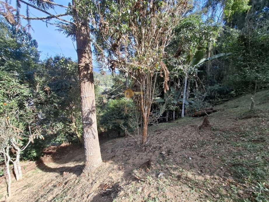 Casa à venda em Cascata do Imbuí, Teresópolis - RJ - Foto 25