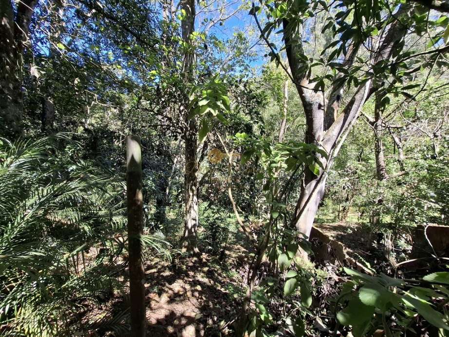 Casa à venda em Pessegueiros, Teresópolis - RJ - Foto 8