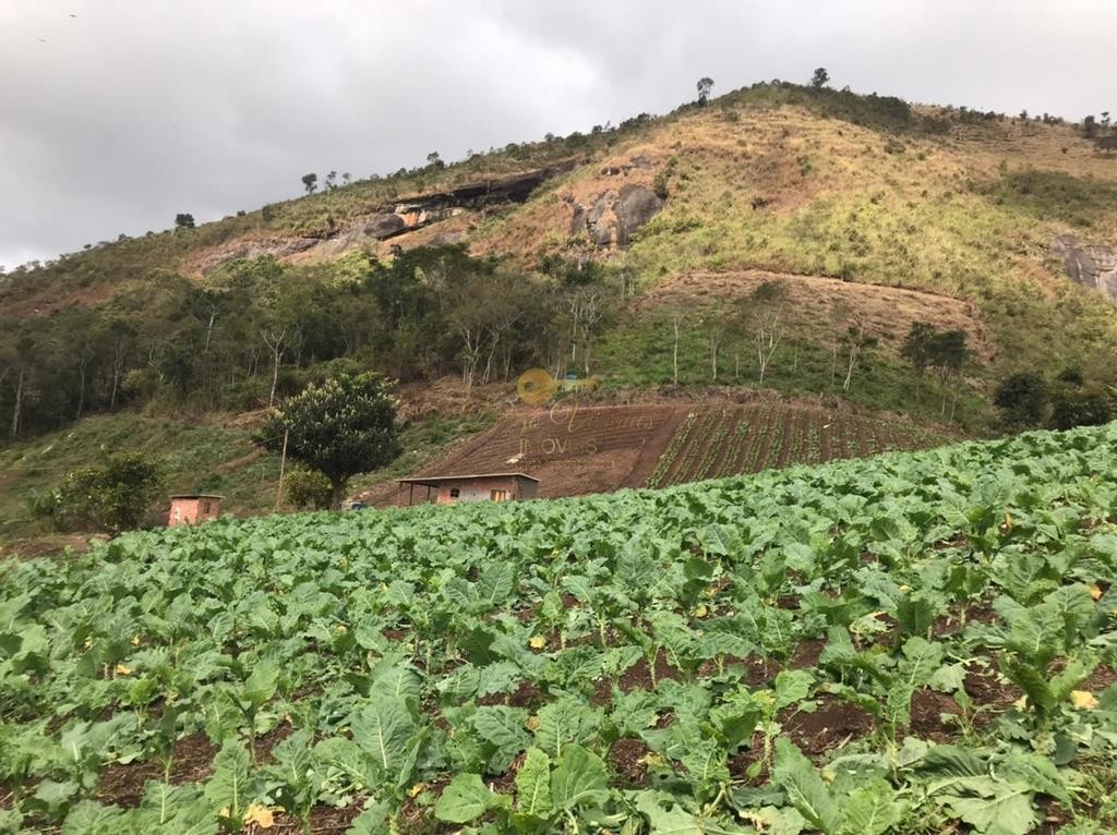 Terreno Residencial à venda em Centro, Nova Friburgo - RJ - Foto 6