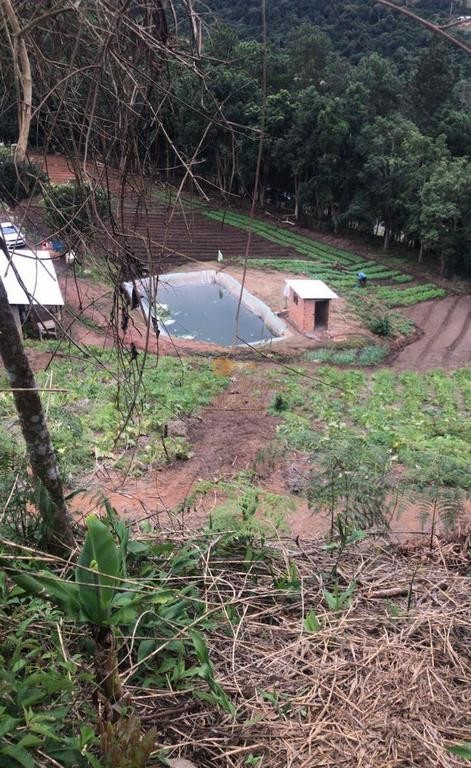 Terreno Residencial à venda em Centro, Nova Friburgo - RJ - Foto 11
