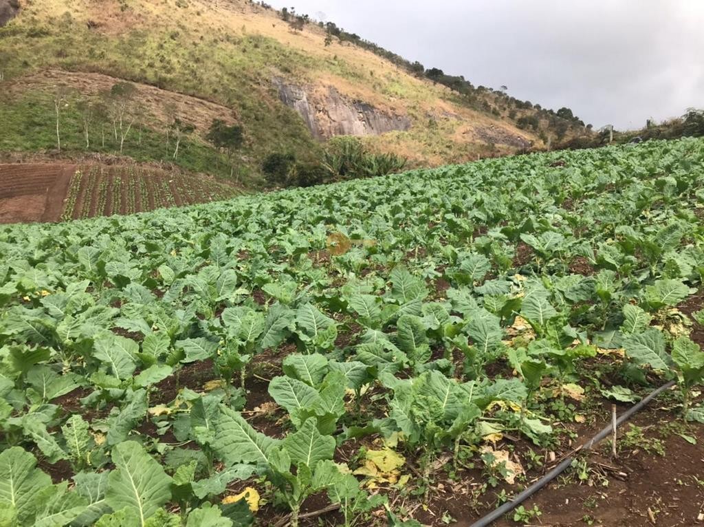Terreno Residencial à venda em Centro, Nova Friburgo - RJ - Foto 9