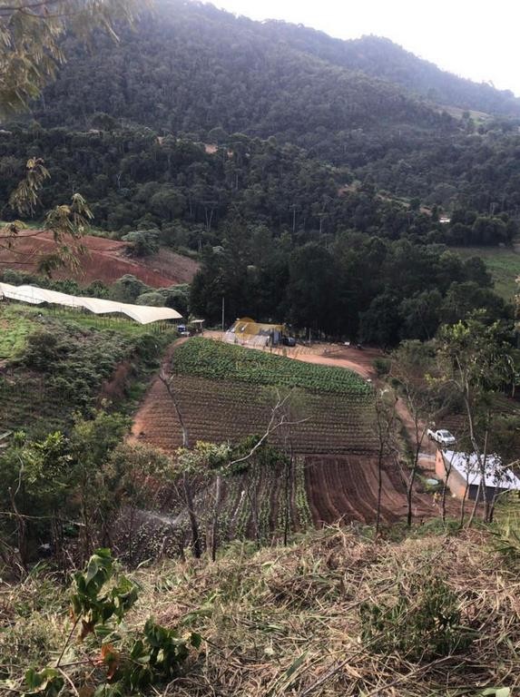 Terreno Residencial à venda em Centro, Nova Friburgo - RJ - Foto 10